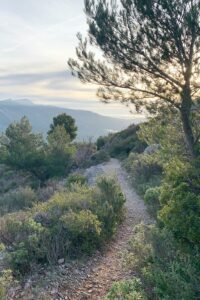 Préservation de notre environnement : Éric Bouillé, candidat aux élections municipales de Roquevaire 2026.